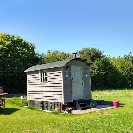 Shepherd'S Lodge - Shepherd'S Hut With Devon Views For Up To Two People And One Dog Wrangaton 外观 照片